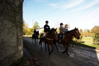 Randonnee equestre sur les terres charentaises